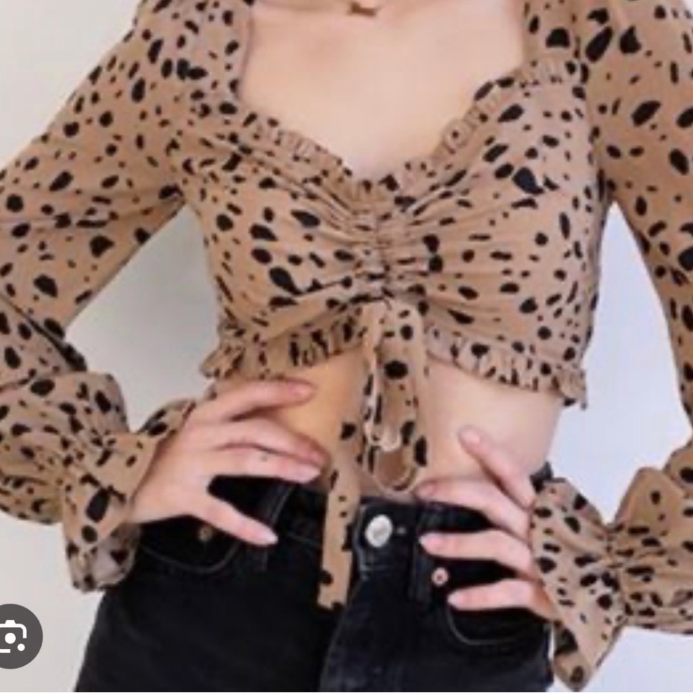Bailey Rose Stylish Tan and Black Women's Crop Top Tie back Size Medium NWT